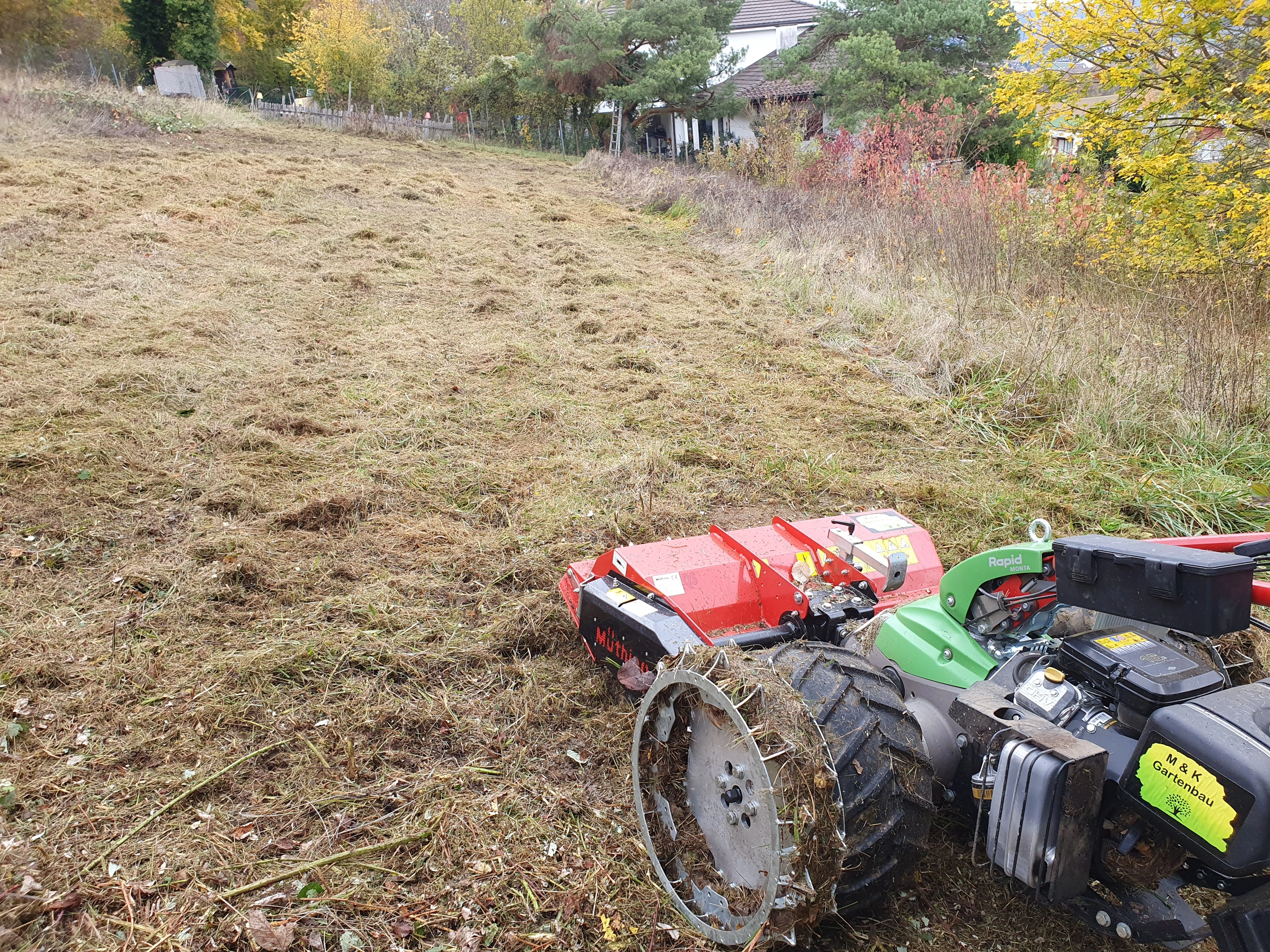 gartenrodung baumrodung landentwicklung kahlschlag aufforstung grundstuecksreinigung umwelschutz baumaterialgewinnung bodenvorbereitung