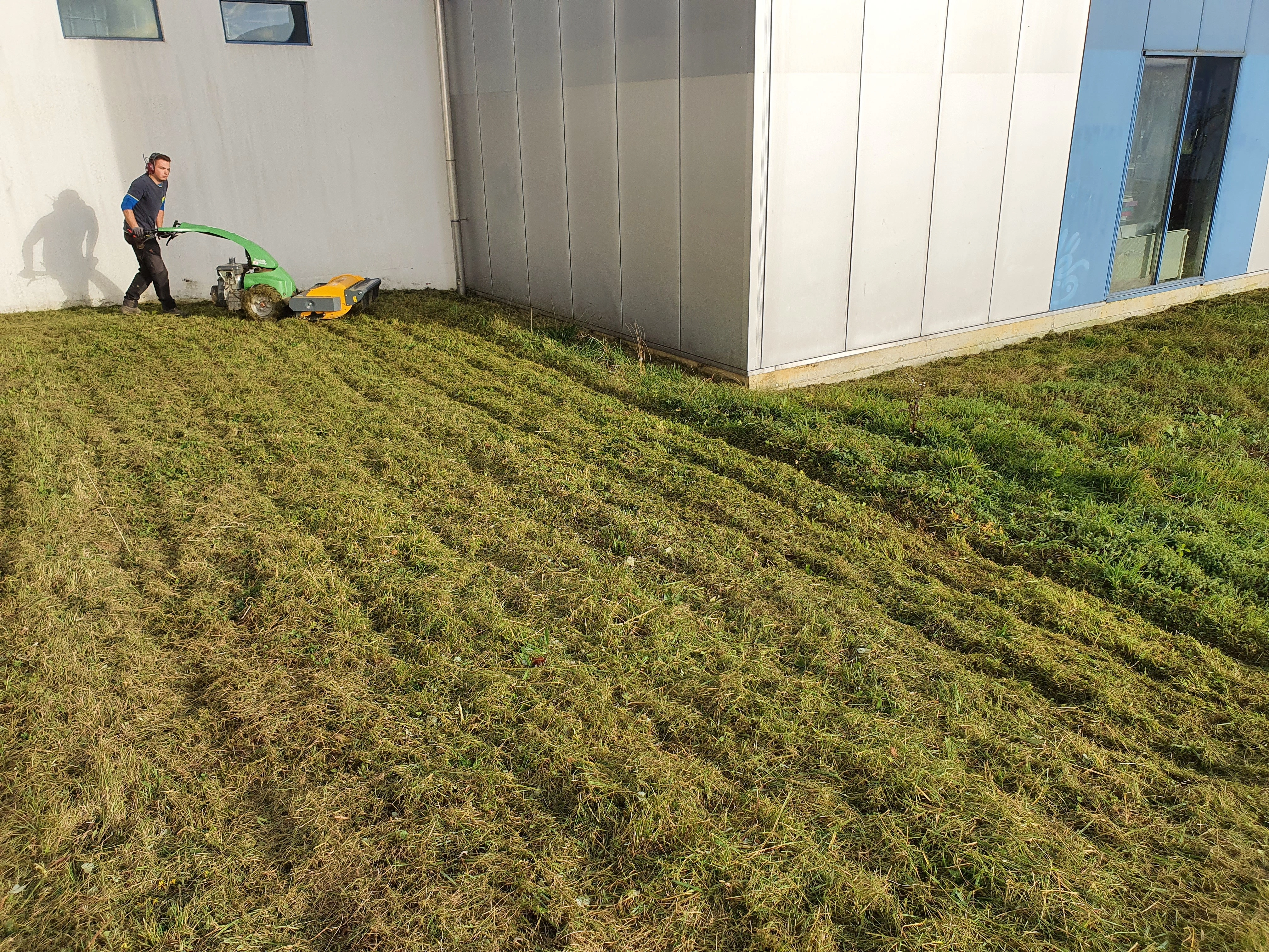 garten rasen
