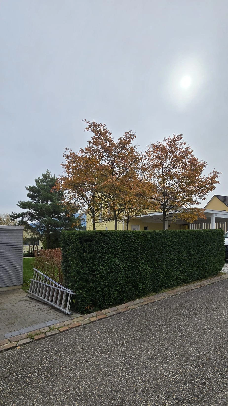 M&K-Gartenbau-Gartengestaltung (2).jpg