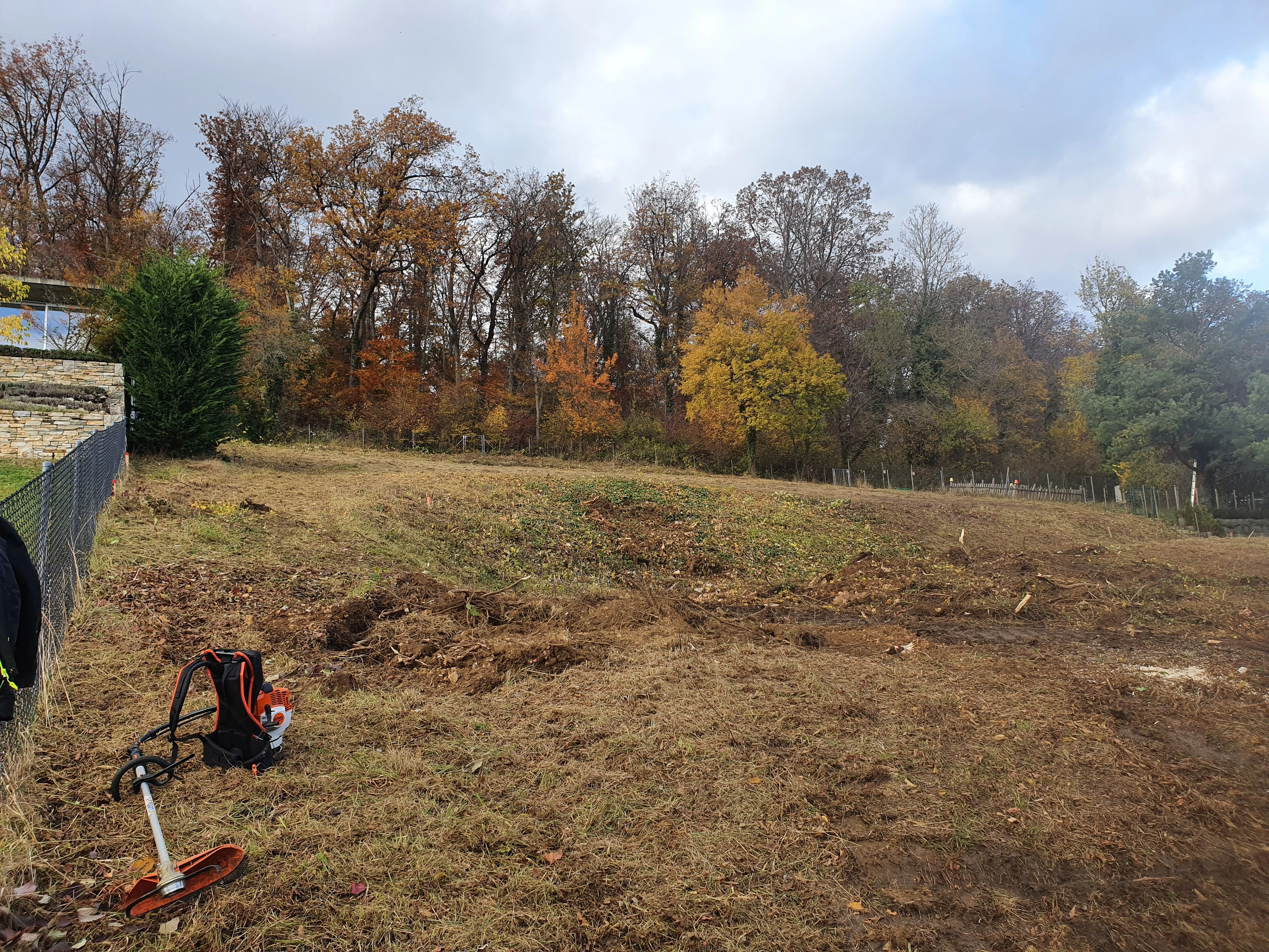 rasenpflege gartenrodung baumrodung landentwicklung kahlschlag aufforstung grundstuecksreinigung umwelschutz baumaterialgewinnung bodenvorbereitung