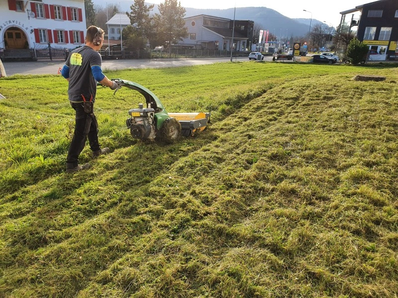 rasenmaehen gartenpflege basel baselland aargau landschaftgestaltung