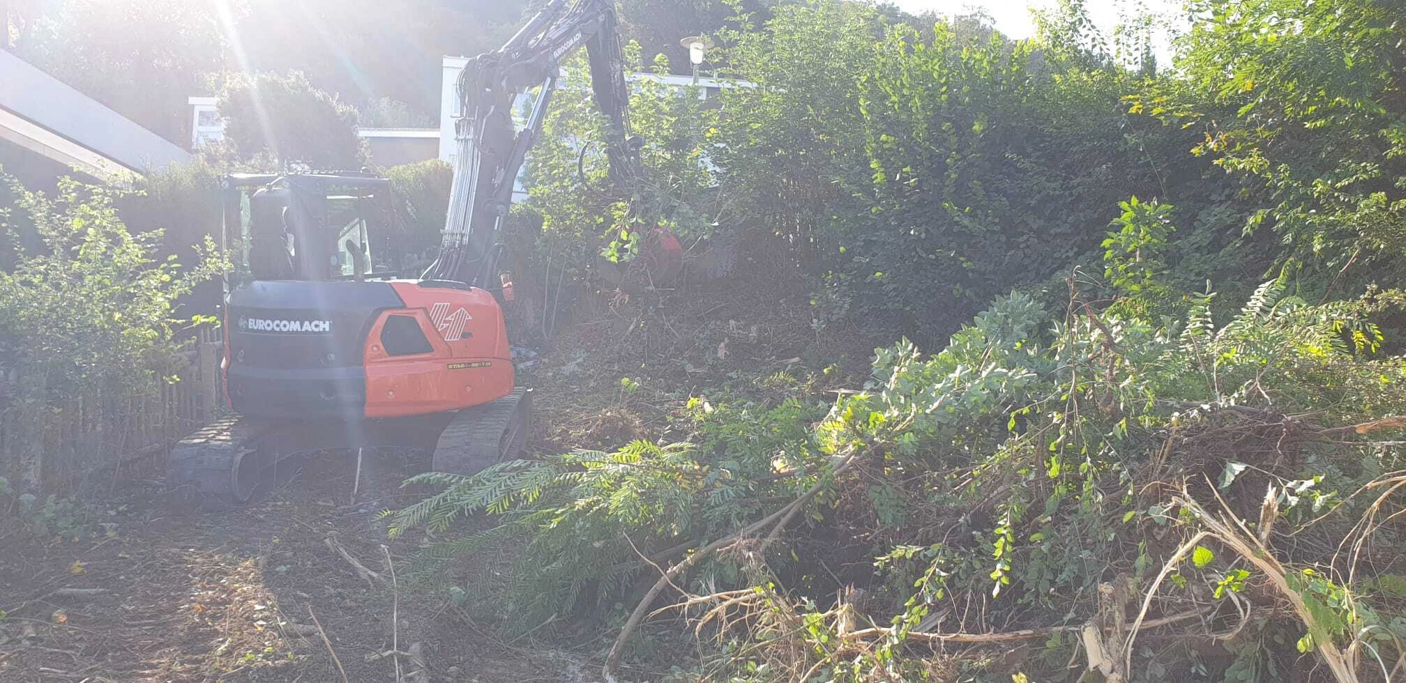 gartenrodung baumrodung landentwicklung kahlschlag aufforstung grundstuecksreinigung umwelschutz baumaterialgewinnung bodenvorbereitung
