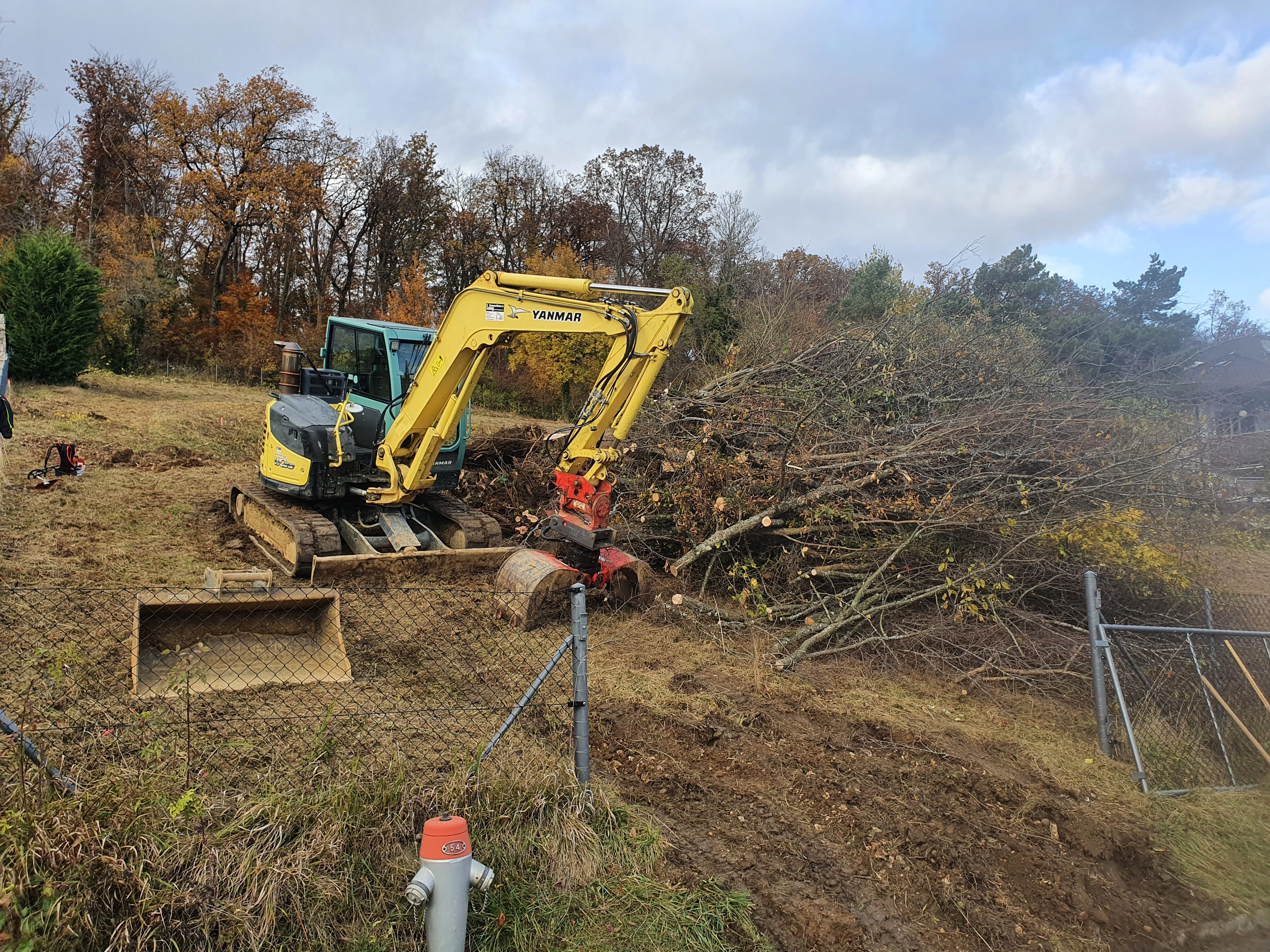 gartengestaltung gartenrodung baumrodung landentwicklung kahlschlag aufforstung grundstuecksreinigung umwelschutz baumaterialgewinnung bodenvorbereitung