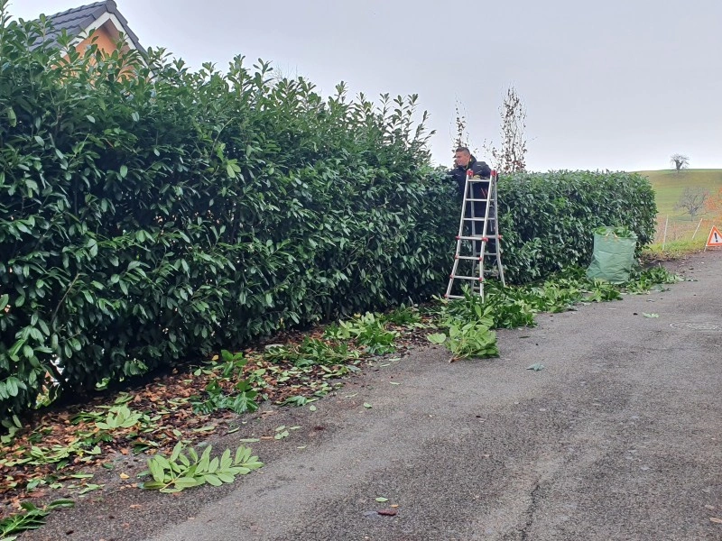 gartenunterhalt gartenservice regelmaessige pflege garten in voller pracht