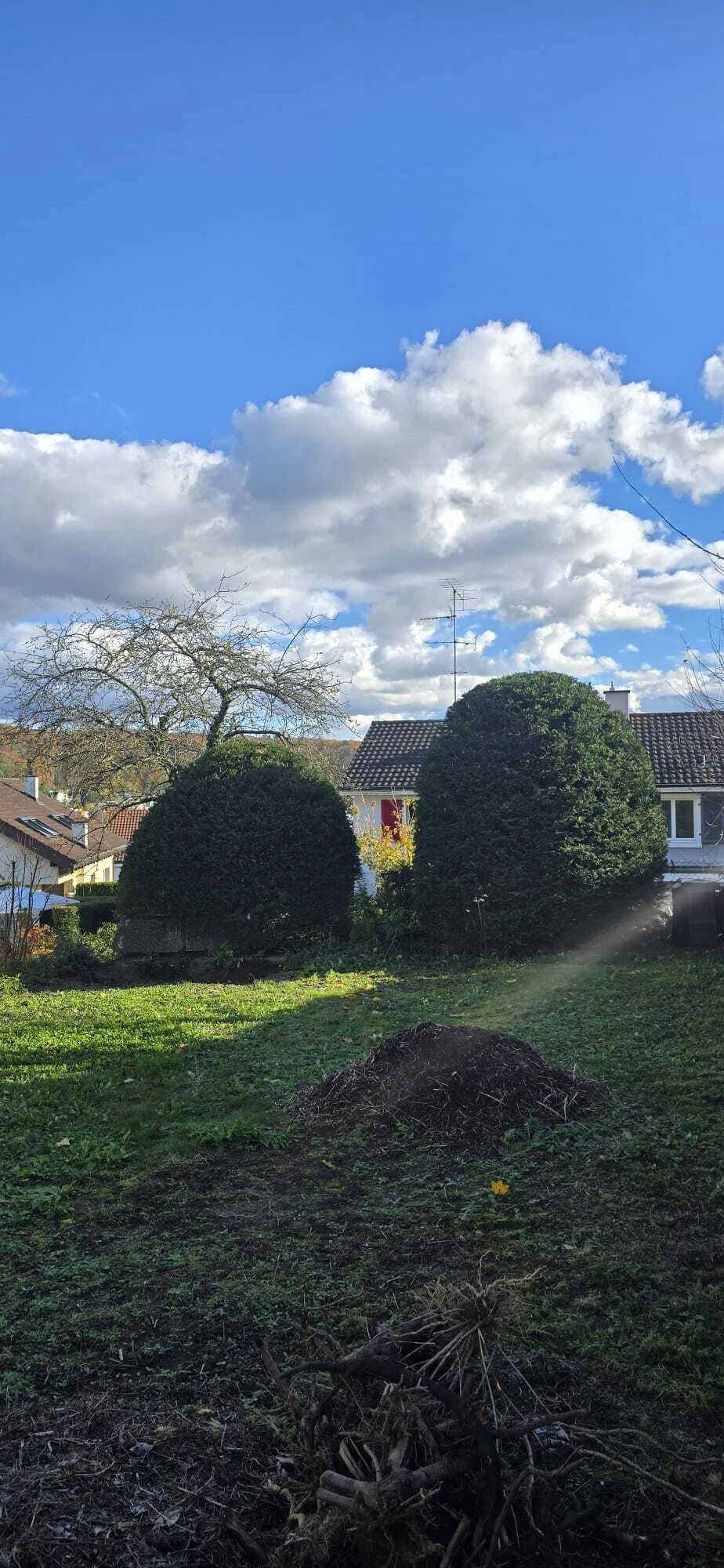 M&K-Gartenbau-Gartengestaltung (4).jpg