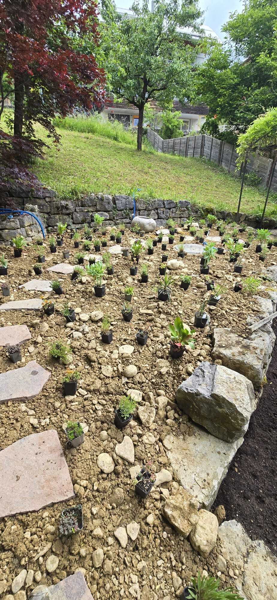 M&K-Gartenbau-Gartengestaltung (70).jpg
