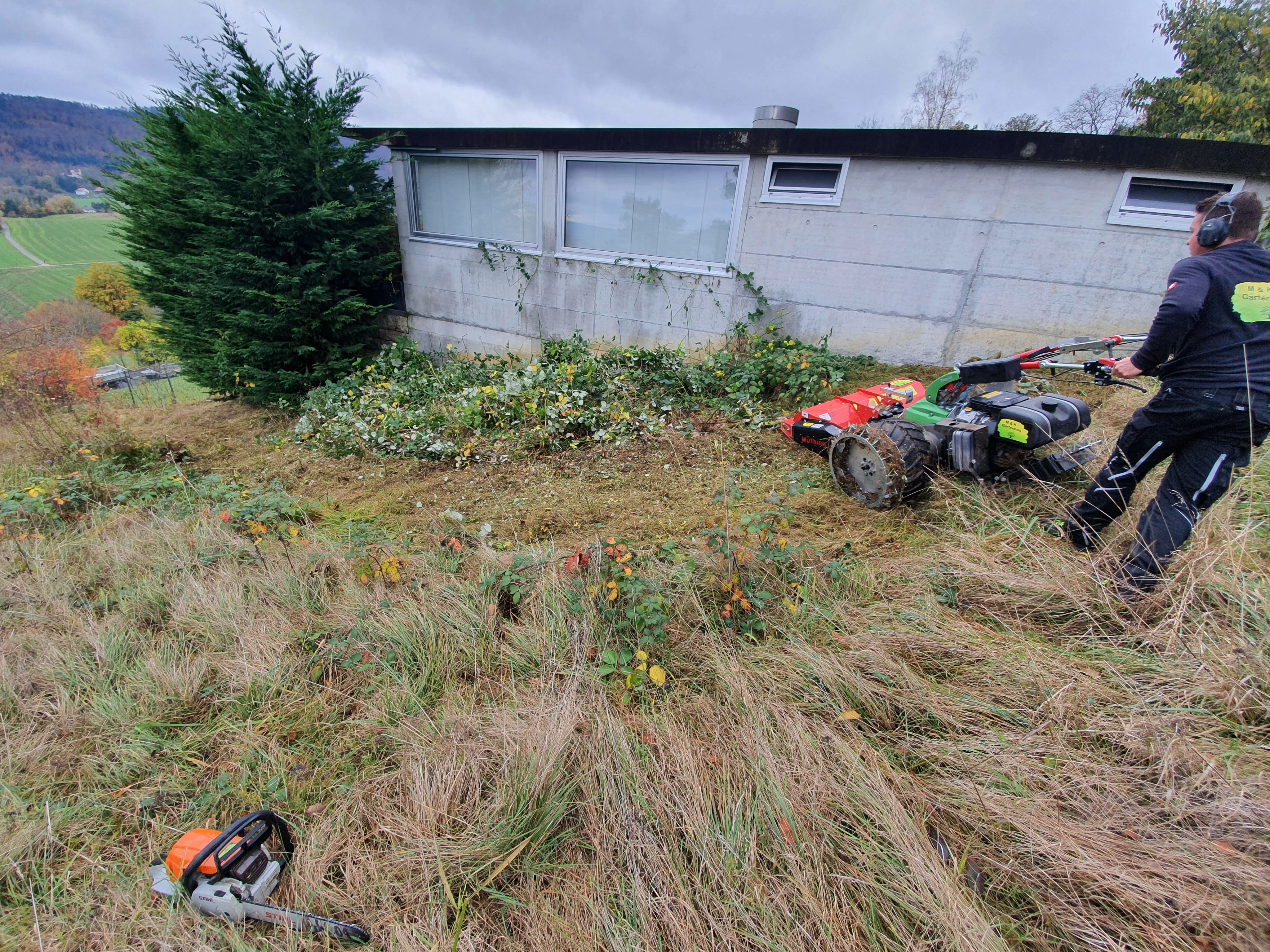 gartenbau gartenrodung baumrodung landentwicklung kahlschlag aufforstung grundstuecksreinigung umwelschutz baumaterialgewinnung bodenvorbereitung
