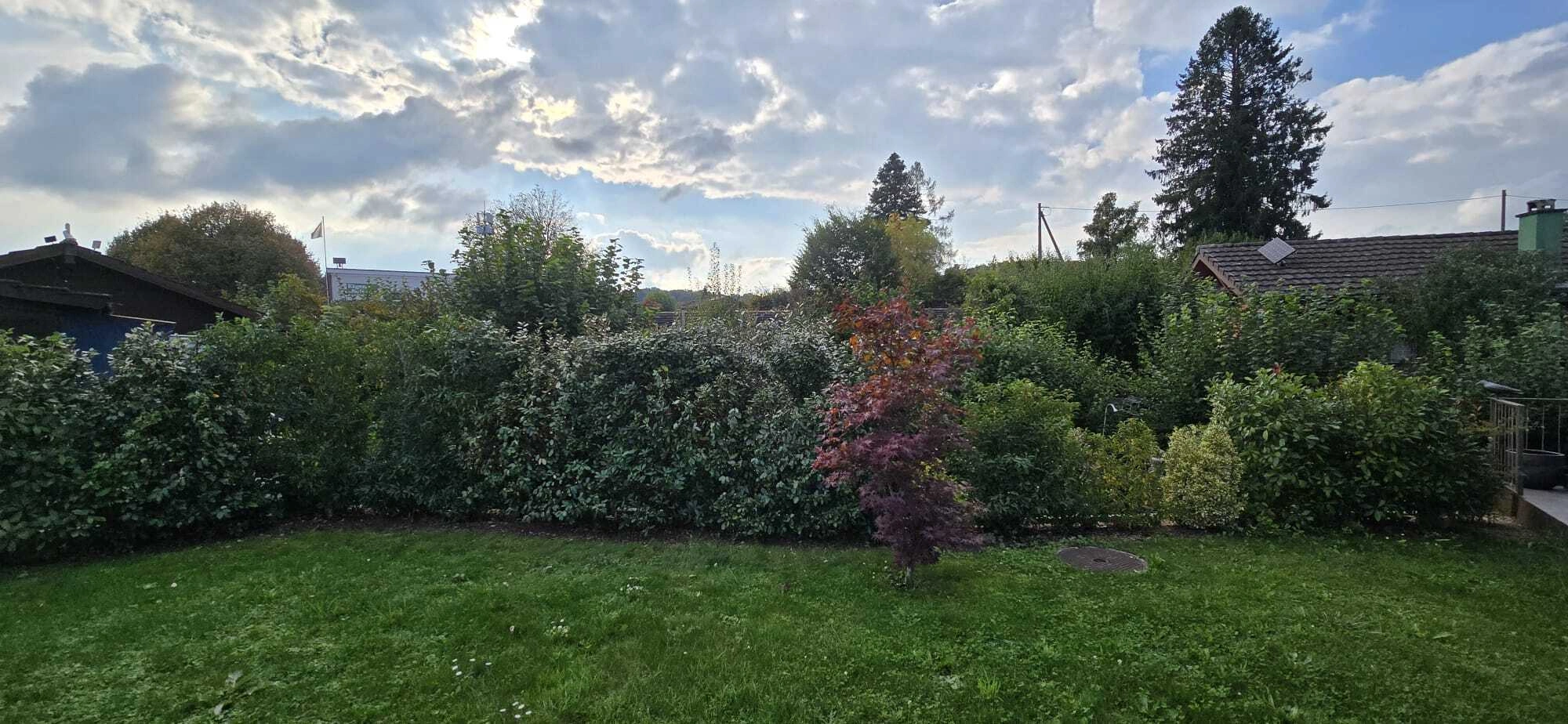 M&K-Gartenbau-Gartengestaltung (10).jpg