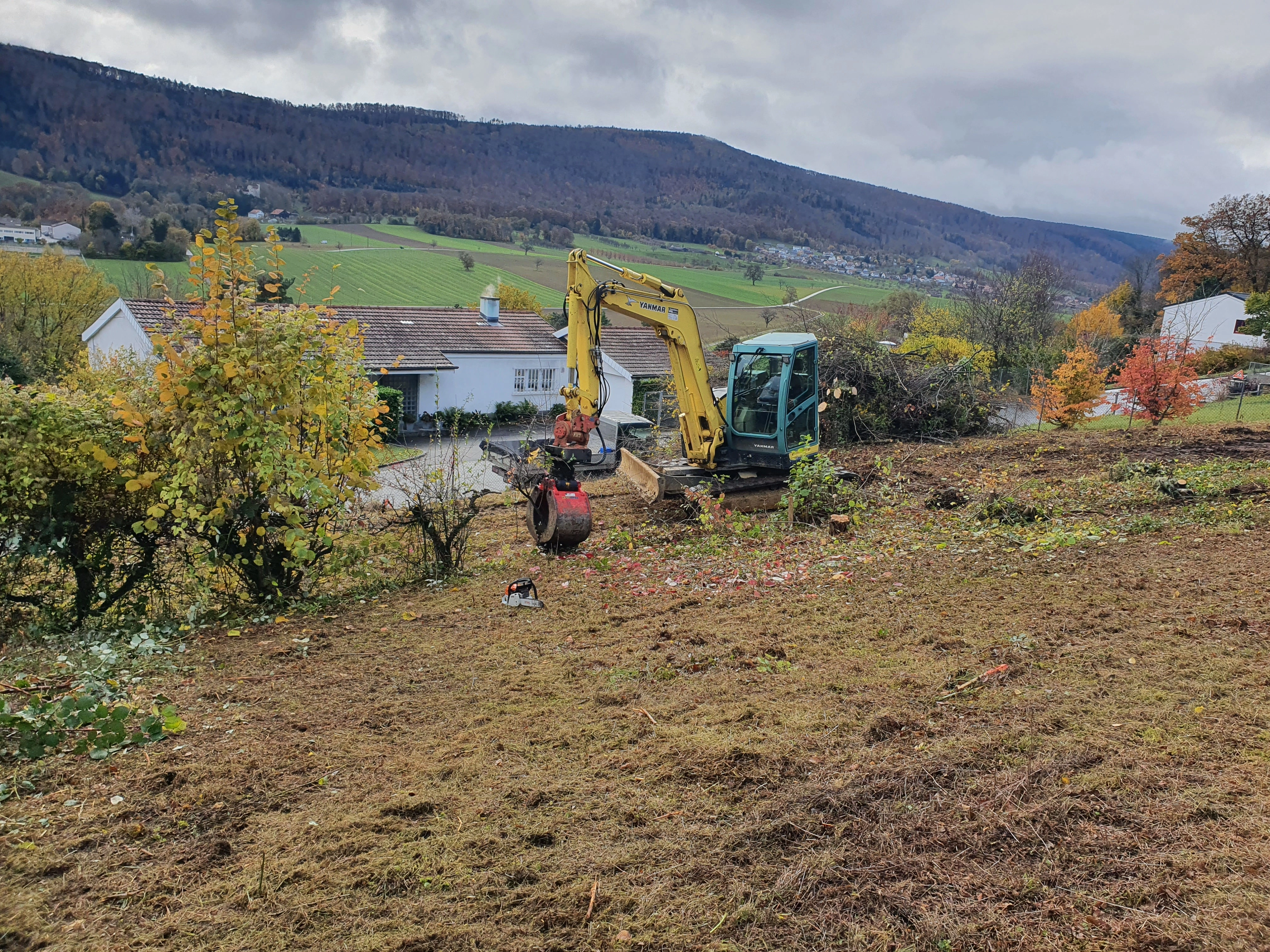 rasenmaehen gartenrodung baumrodung landentwicklung kahlschlag aufforstung grundstuecksreinigung umwelschutz baumaterialgewinnung bodenvorbereitung.jpg