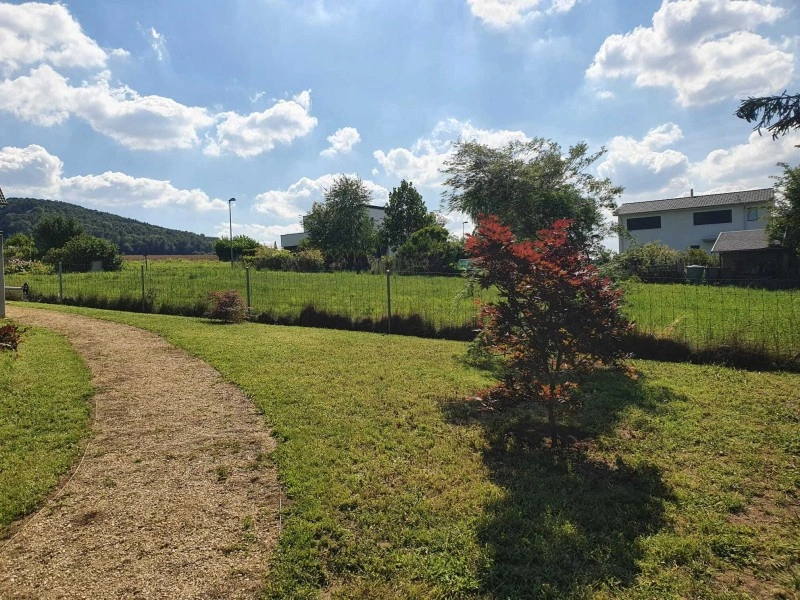 gartenpflege rasen 