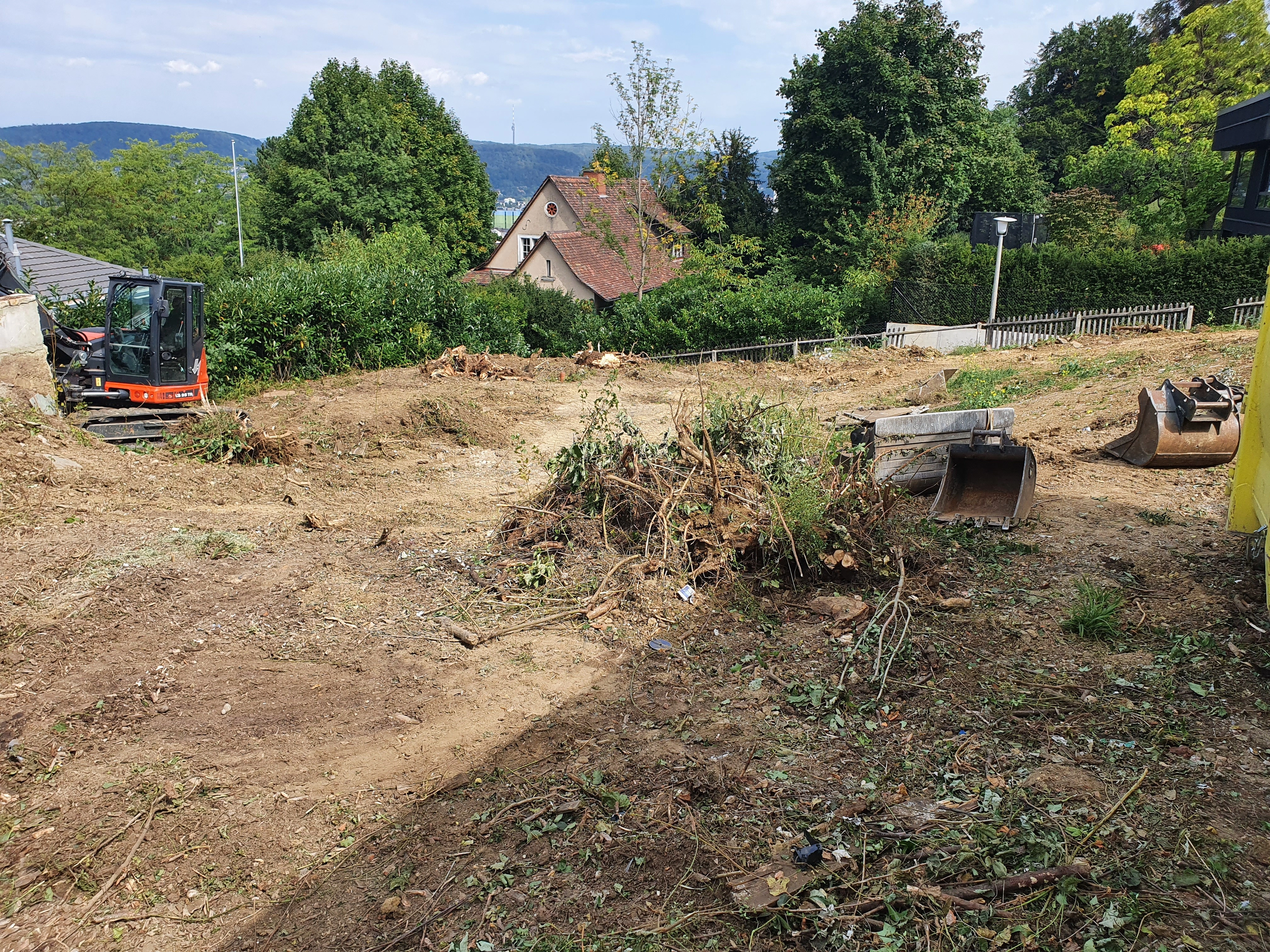 gartenrodung baumrodung landentwicklung kahlschlag aufforstung grundstuecksreinigung umwelschutz baumaterialgewinnung bodenvorbereitung.jpg