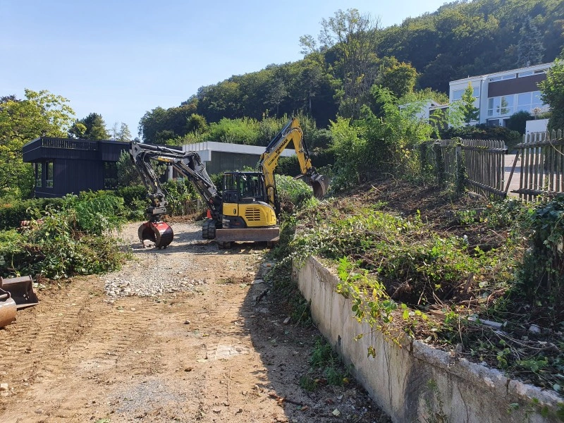 gartenrodung baumrodung landentwicklung kahlschlag aufforstung grundstuecksreinigung umwelschutz baumaterialgewinnung bodenvorbereitung