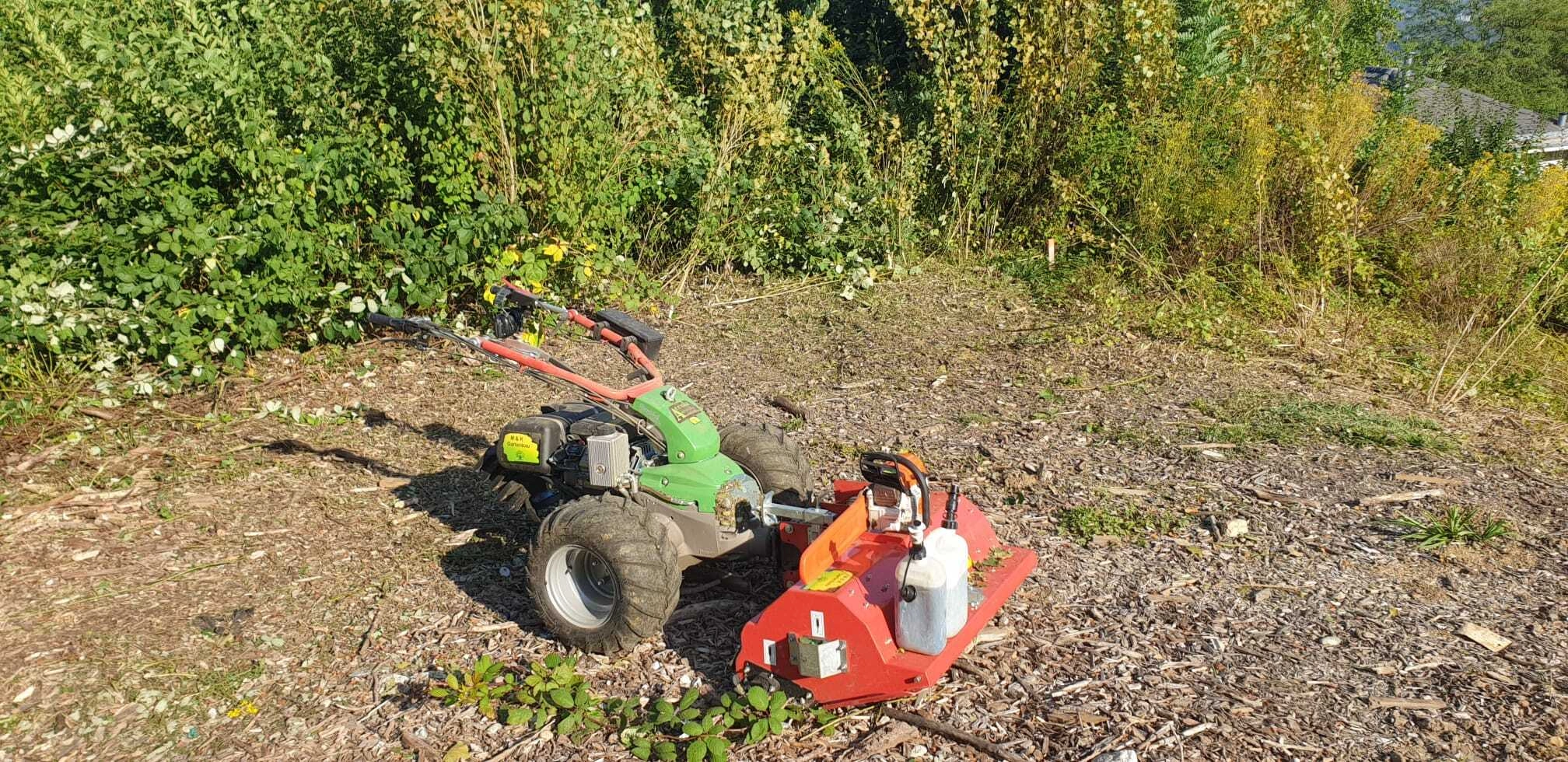 gartenrodung baumrodung landentwicklung kahlschlag aufforstung grundstuecksreinigung umwelschutz baumaterialgewinnung bodenvorbereitung baumaschinen