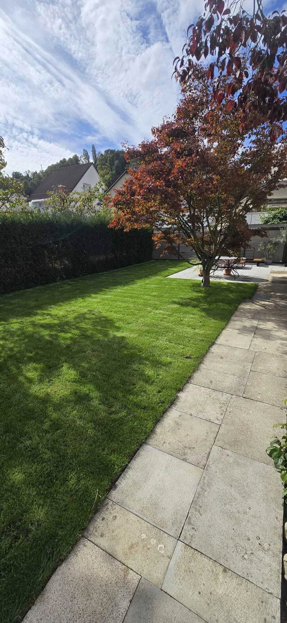 M&K-Gartenbau-Gartengestaltung (19).jpg