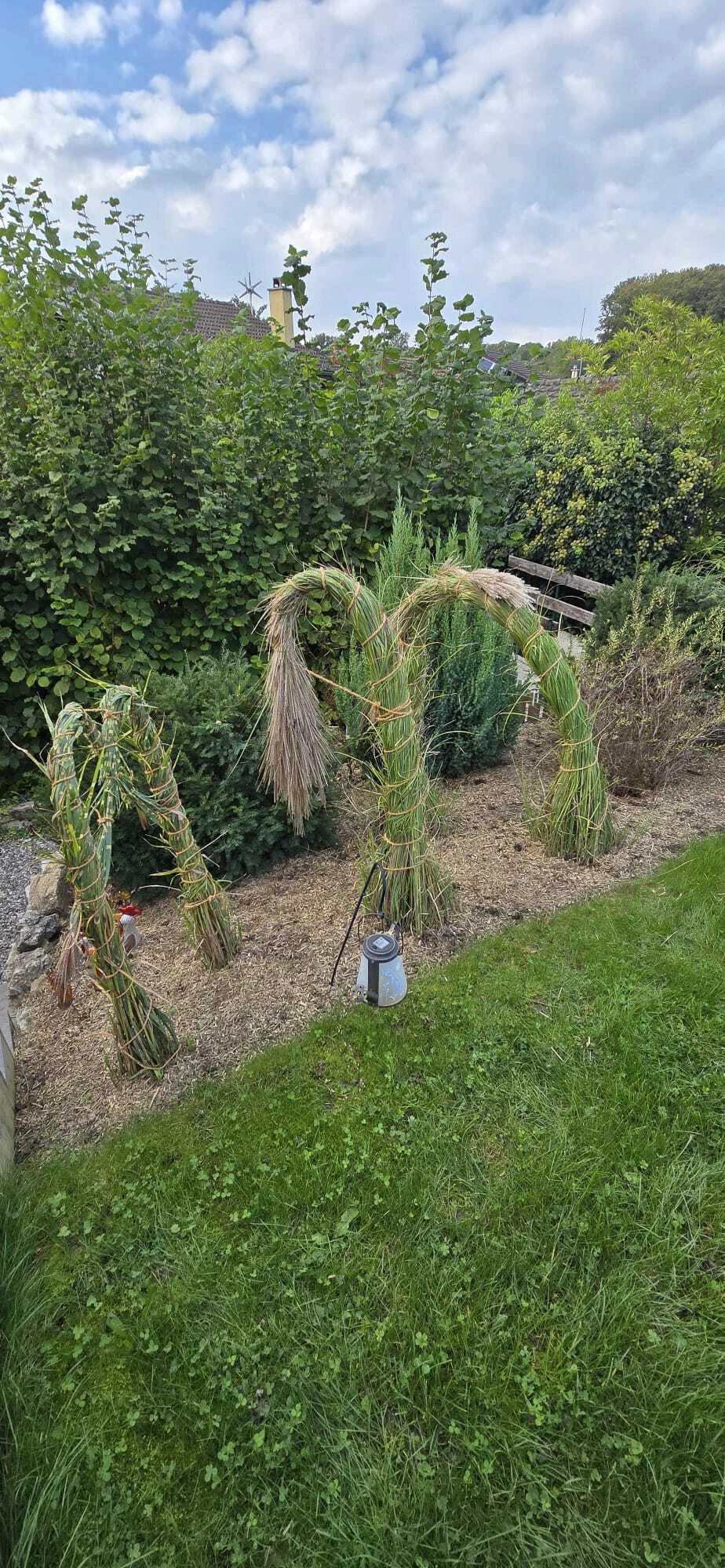 M&K-Gartenbau-Gartengestaltung (11).jpg