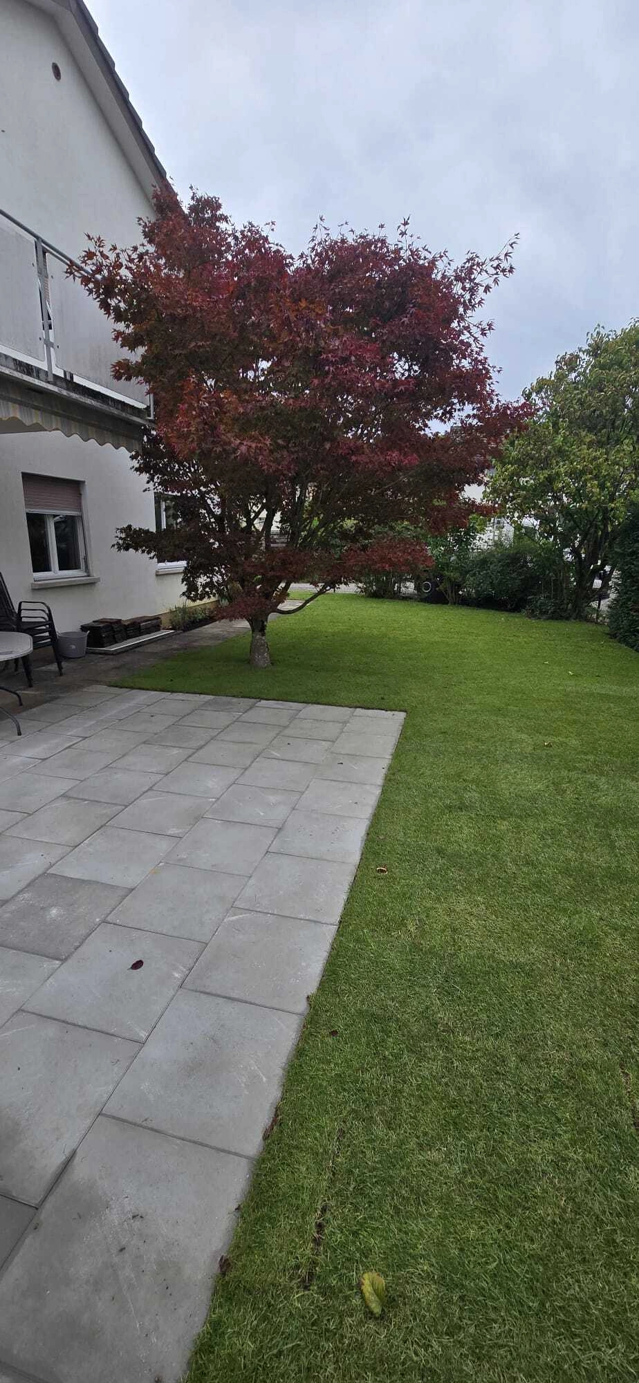 M&K-Gartenbau-Gartengestaltung (56).jpg